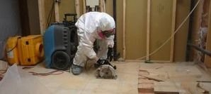 Mold Infested Floor Being Renovated By Technician