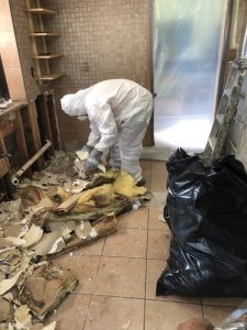 Technician Cleaning Up Mold And Water Damage In A Home