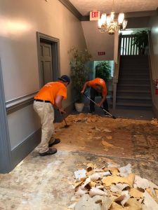 Professional Mold Experts Removing A Moldy Floor