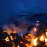4 Ways to Protect Your Business After Fire Damage – Board Up Services