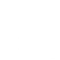 restored properties from water & disaster