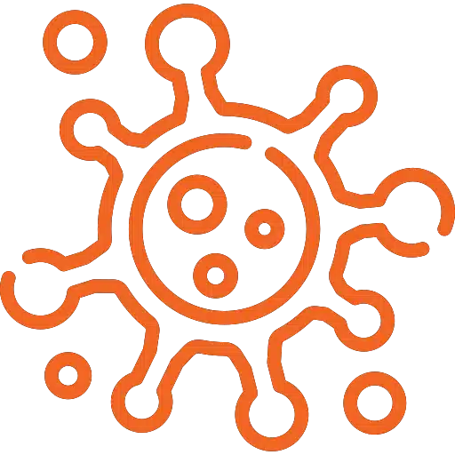 Seattle Mold Remediation