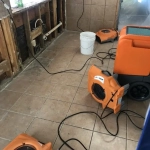 Fixing Water Damage Around Windows